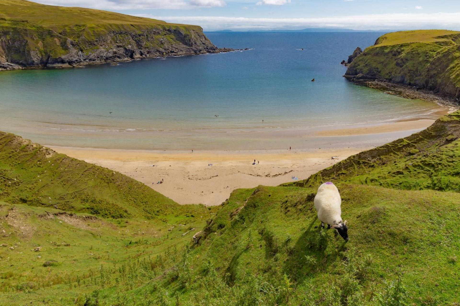 Hollies Hideaway Apartman Donegal Town Kültér fotó